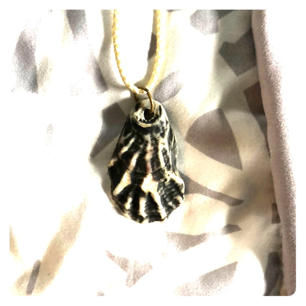 Large seashell necklace